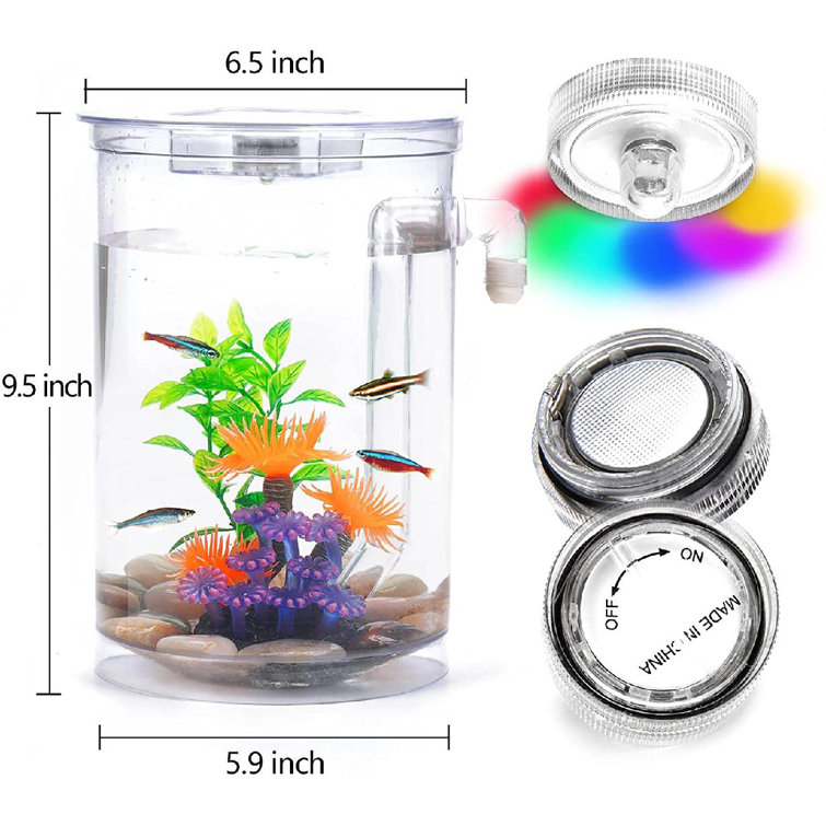 small self cleaning fish tank