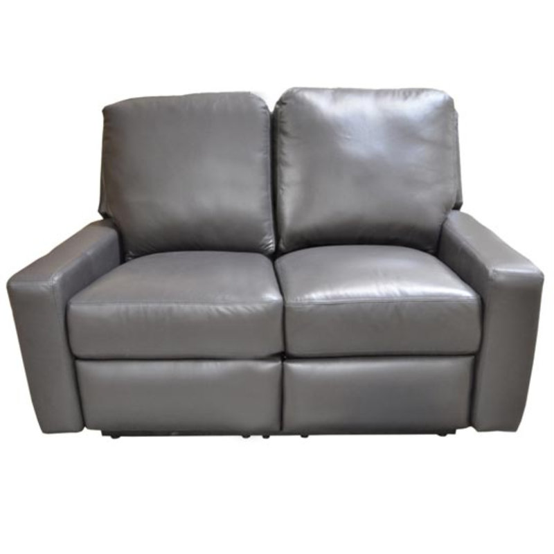 Omnia Leather Mirage Reclining Loveseat Wayfair