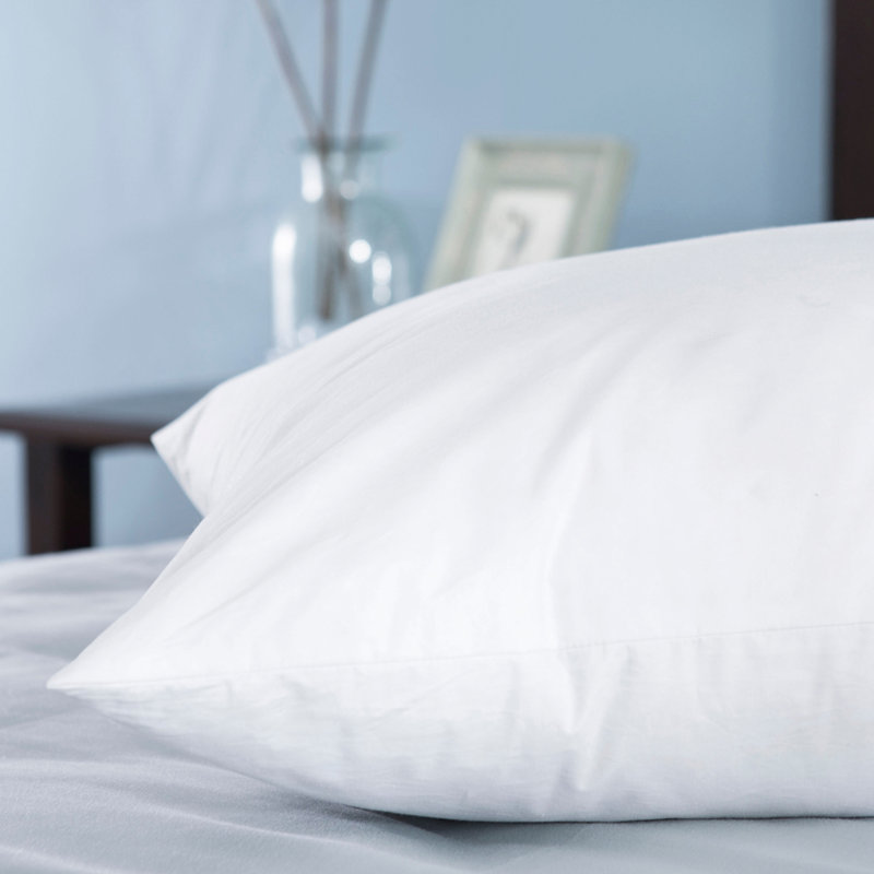 Alwyn Home Goodlett Goose Plush Down Blend Body Pillow Reviews