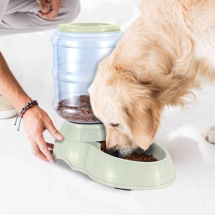 self dispensing dog feeder