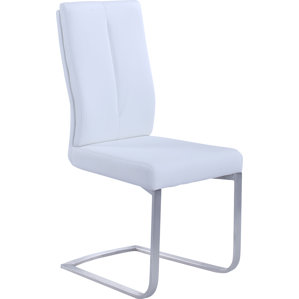 Immanuel Parsons Chair (Set of 2) by Orren Ellis