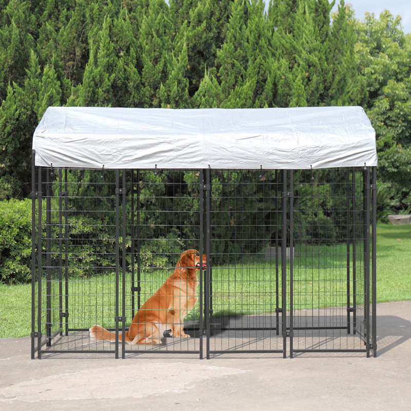 retriever dog kennel ramp