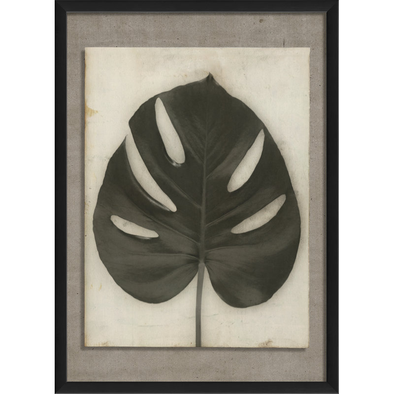 Monstera Deliciousa Framed Photographic Print