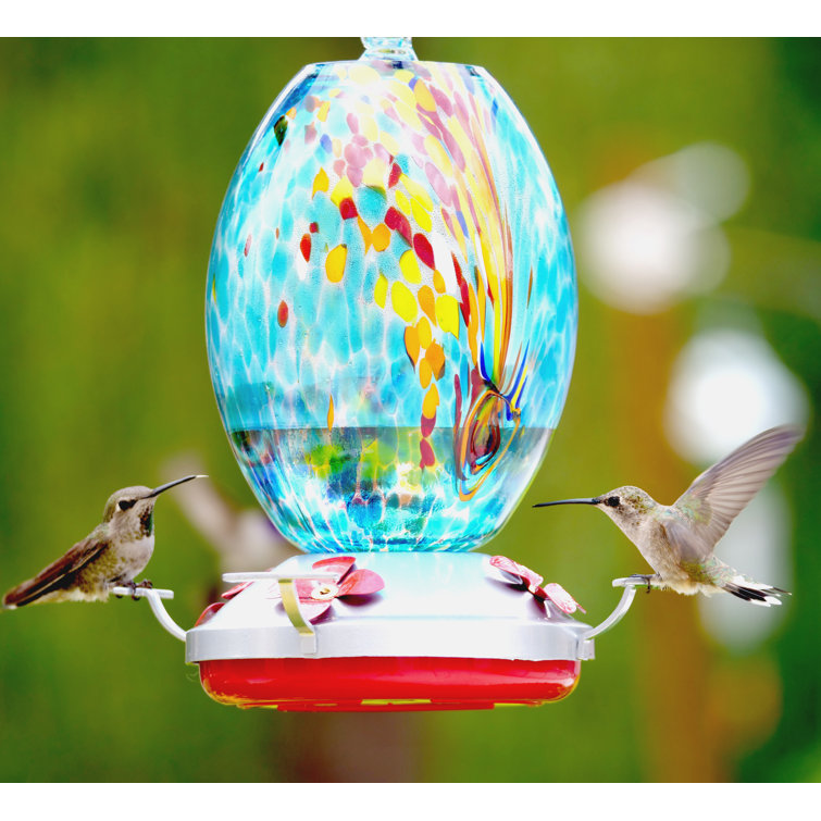 hummingbird supplies