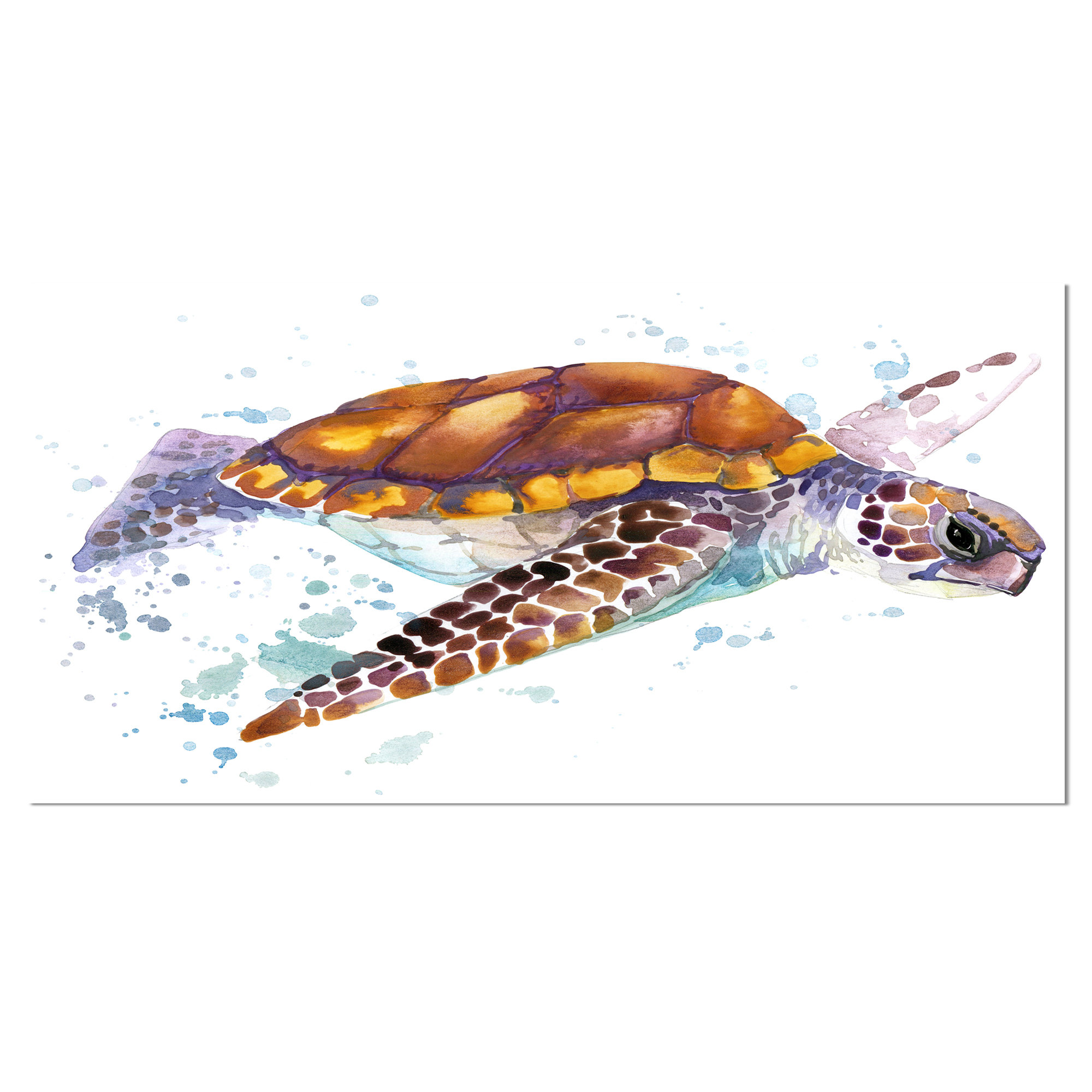 Designart brown sea turtle watercolor painting print on wrapped canvas wayfair Designart brown sea turtle watercolor painting print on wrapped canvas wayfair