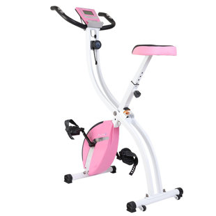 wayfair stationary bike