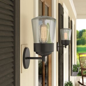 Zola 1-Light Outdoor Sconce