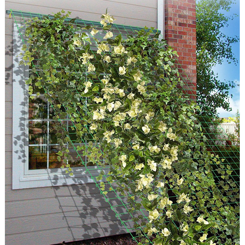 Arlmont Co Trahan Trellis Netting Plant Support Reviews