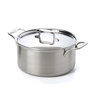 d5 Brushed Stainless Steel Stock Pot with Lid