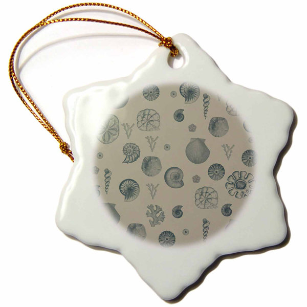 Beach Themed Ornaments Wayfair
