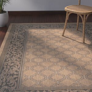 Celia Cocoa/Black Indoor/Outdoor Area Rug