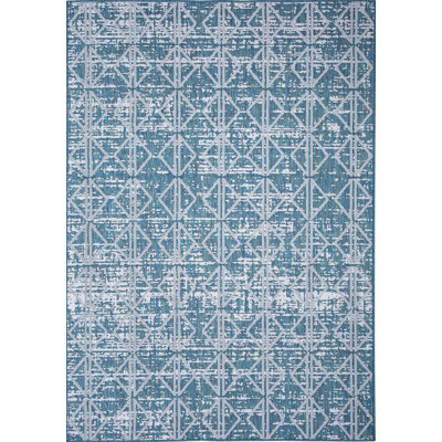 Dakota Fields Vintage Indoor / Outdoor Area Rug in Teal Blue & Reviews ...