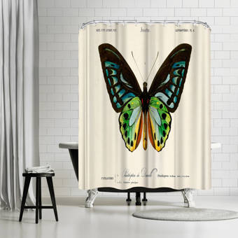 Beachcrest Home Fairhill Single Shower Curtain Wayfair