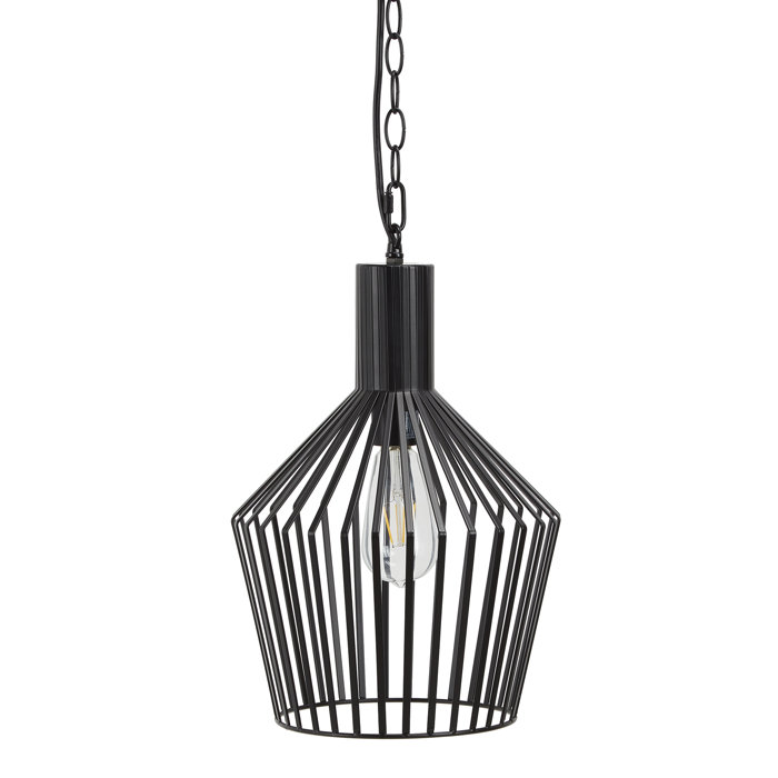 1-Light Pendant with Wire Frame