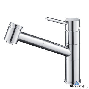 Blossom Pull Down Single Handle Kitchen Faucet