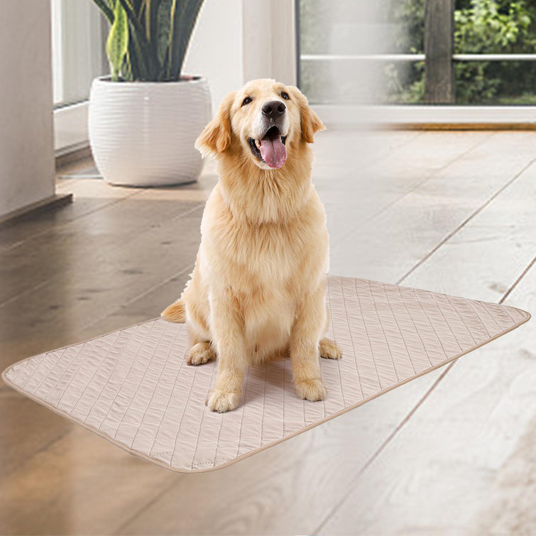 bamboo training pads