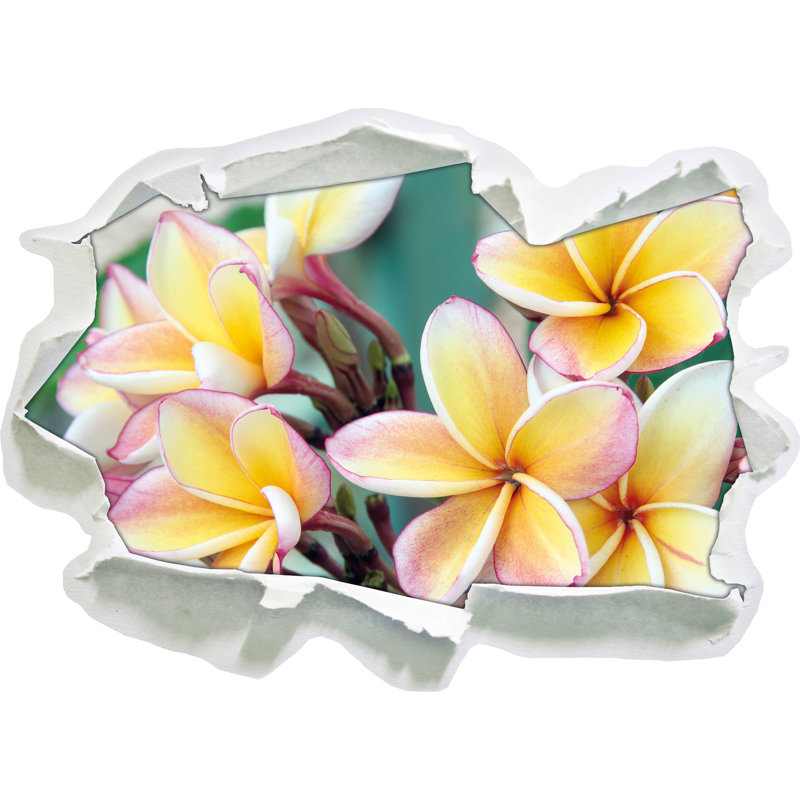 East Urban Home Wandtattoo Monoi Blüten auf Hawaii | Wayfair.de