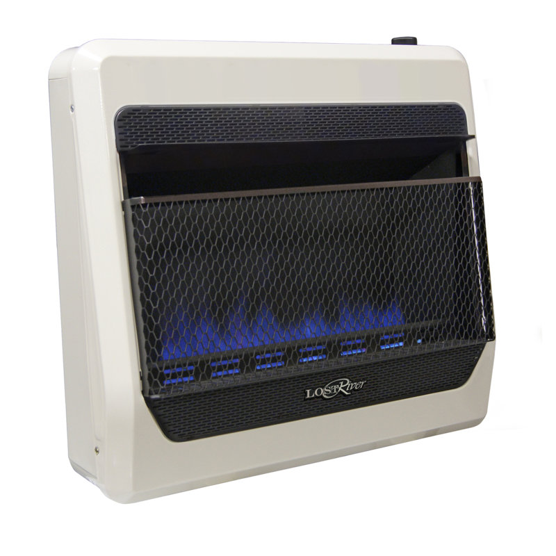 ProCom Lost River Dual Fuel Ventless Radiant Plaque Space ...