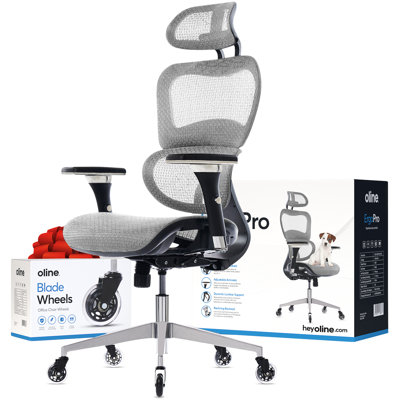 ErgoPro Ergonomic Office Chair, Rolling Desk Mesh Computer Gaming Executive Chair with Blade Wheels