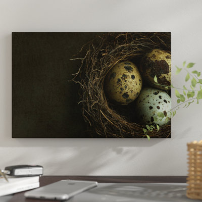 East Urban Home Bird S Nest And Quail Eggs Closeup Photographic