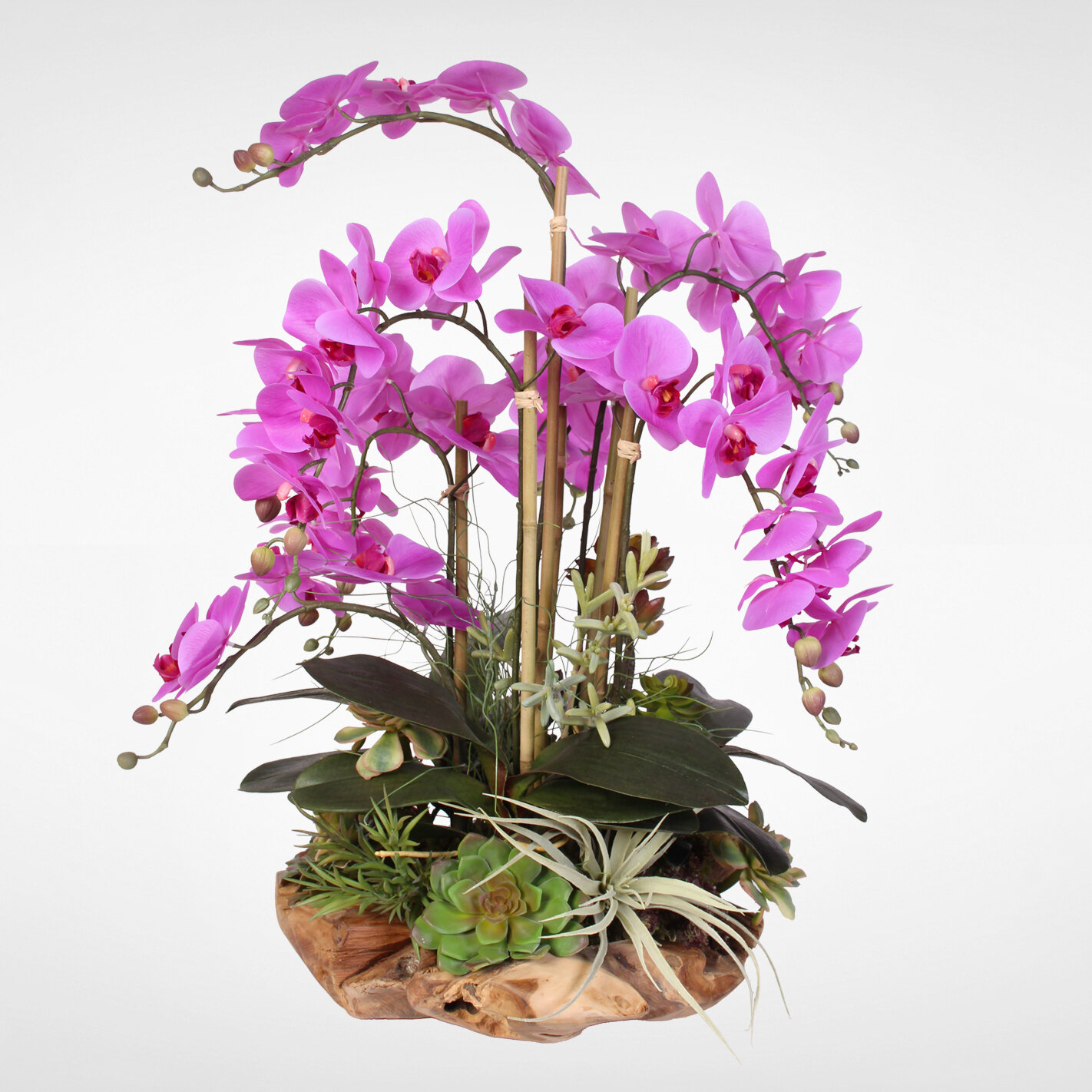 Millwood Pines Brevoort Phalaenopsis Silk Orchid Floral Arrangement ...