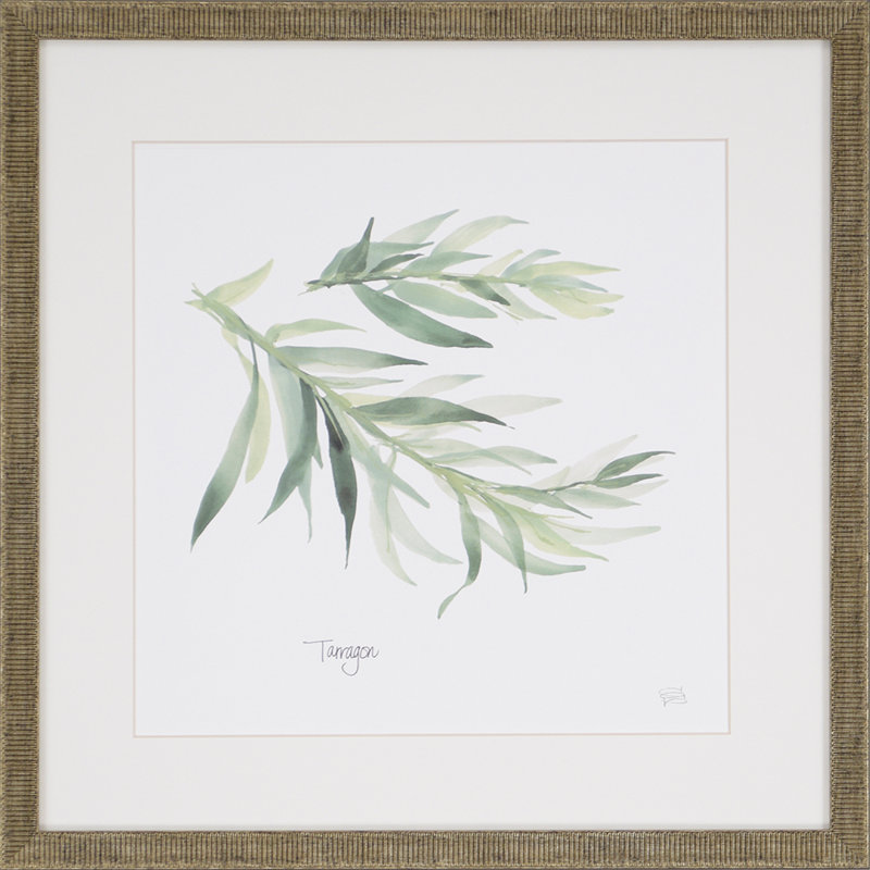 Herbs By Paschke 4 Piece Picture Frame Graphic Art Print Set On Paper Reviews Joss Main