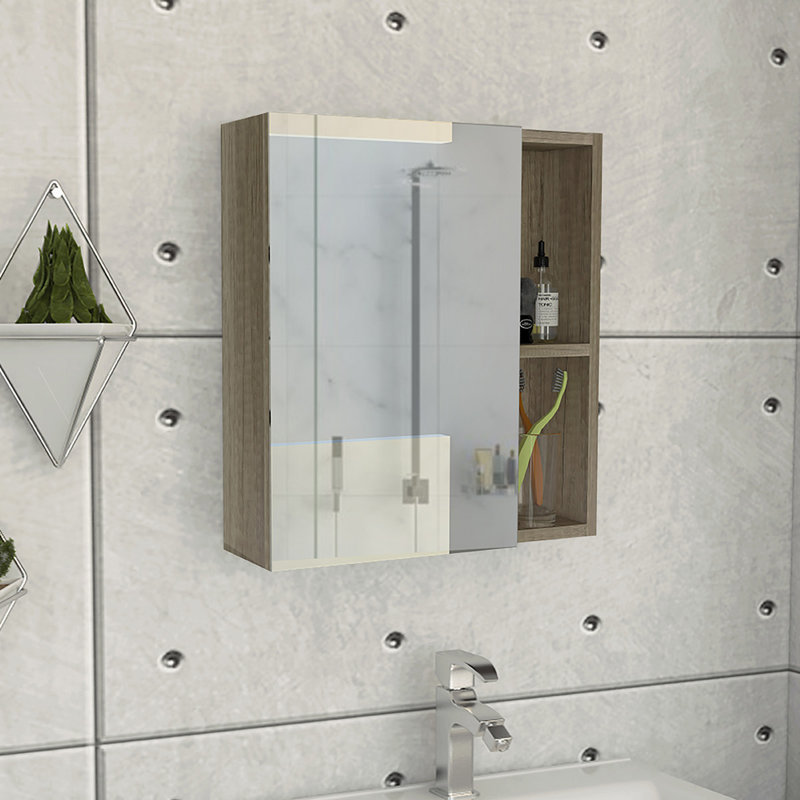 Orren Ellis Lykens Surface Mount Framed 1 Door Medicine