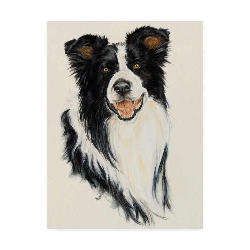 Trademark Art Border Collie Oil Painting Print On Wrapped Canvas