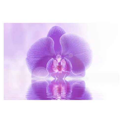 Purple Orchid on Water 2.55m x 3.84m Textured Matt Peel & Stick Wall Mural East Urban Home