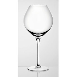 Degustazione 28 Oz. Burgundy Glass (Set of 2)