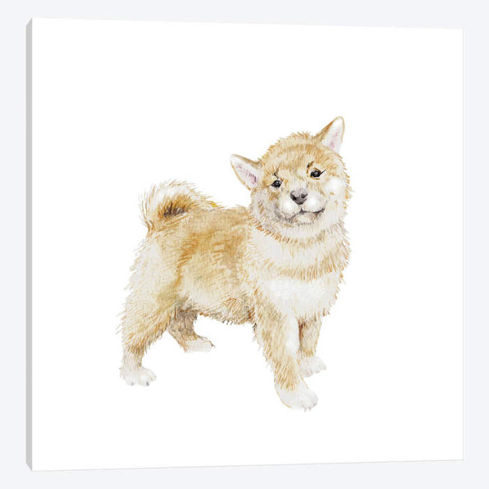 Shiba Inu Puppy Print On Canvas