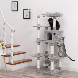 cat activity centre