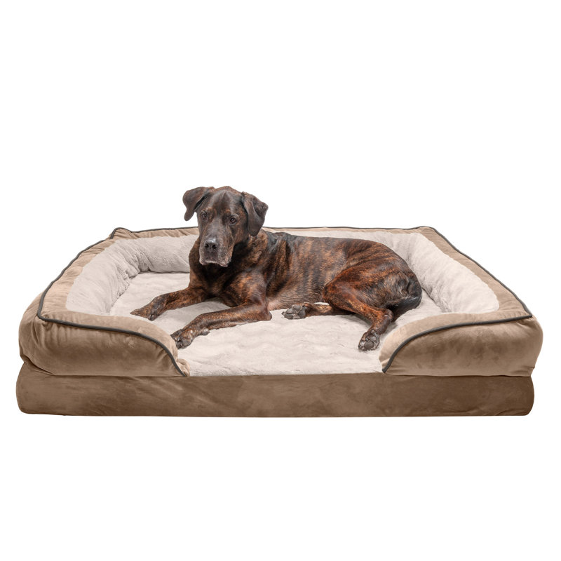 wayfair pet beds