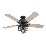 Hunter Regalia Fan Wayfair