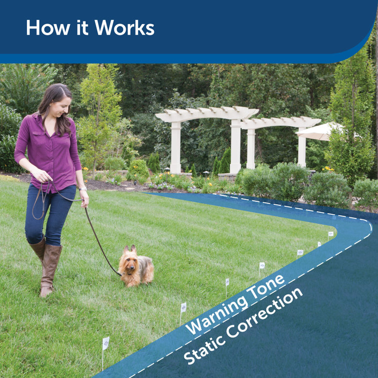 Petsafe Rechargeable In Ground Dog Electric Fence System Reviews Wayfair Petsafe Rechargeable In Ground Dog Electric Fence System Reviews Wayfair