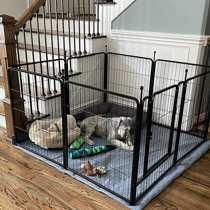 large dog play yard