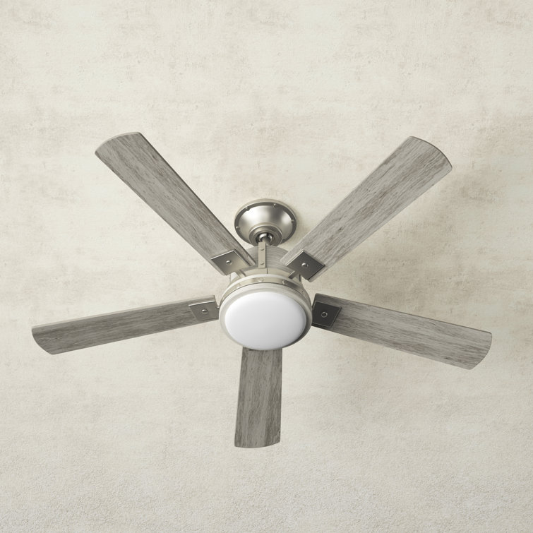 Ceiling Fan \u0026 Reviews | Birch Lane