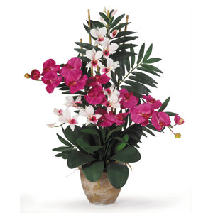 Double Phalaenopsis and Dendrobium Silk Orchid with Vase