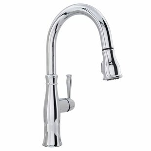 Aqua Plumb Spring Neck Pull Out Kitchen Faucet Chrome Finish For Sale Online Ebay