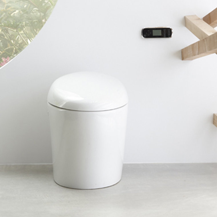 K 4026 0 Kohler Karing Skirted One Piece Elongated Toilet With Bidet Functionality Wayfair