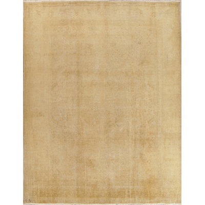 Muted Bester Persian Oriental Hand Knotted Wool Distressed Area Persian Oriental Hand Knotted Wool