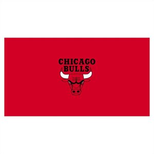 Chicago Bulls Billiard Table Cloth