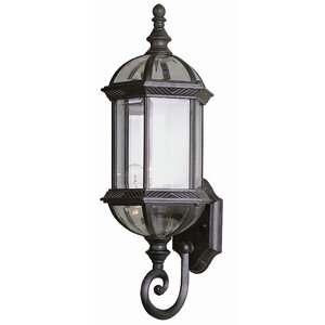 Lenzburg 1-Light Outdoor Sconce