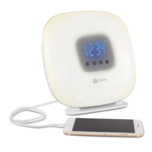 Nature Sounds Alarm Clock Wayfair