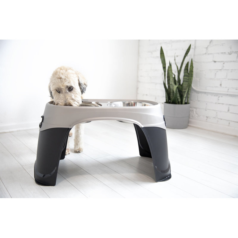 petmate easy reach diner