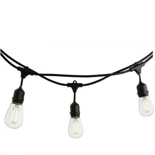 Best Manke 15-Light Globe String Lights By The Holiday Aisle Outdoor Lighting Manke 15-Light Globe String Lights By The Holiday Aisle Outdoor Lighting