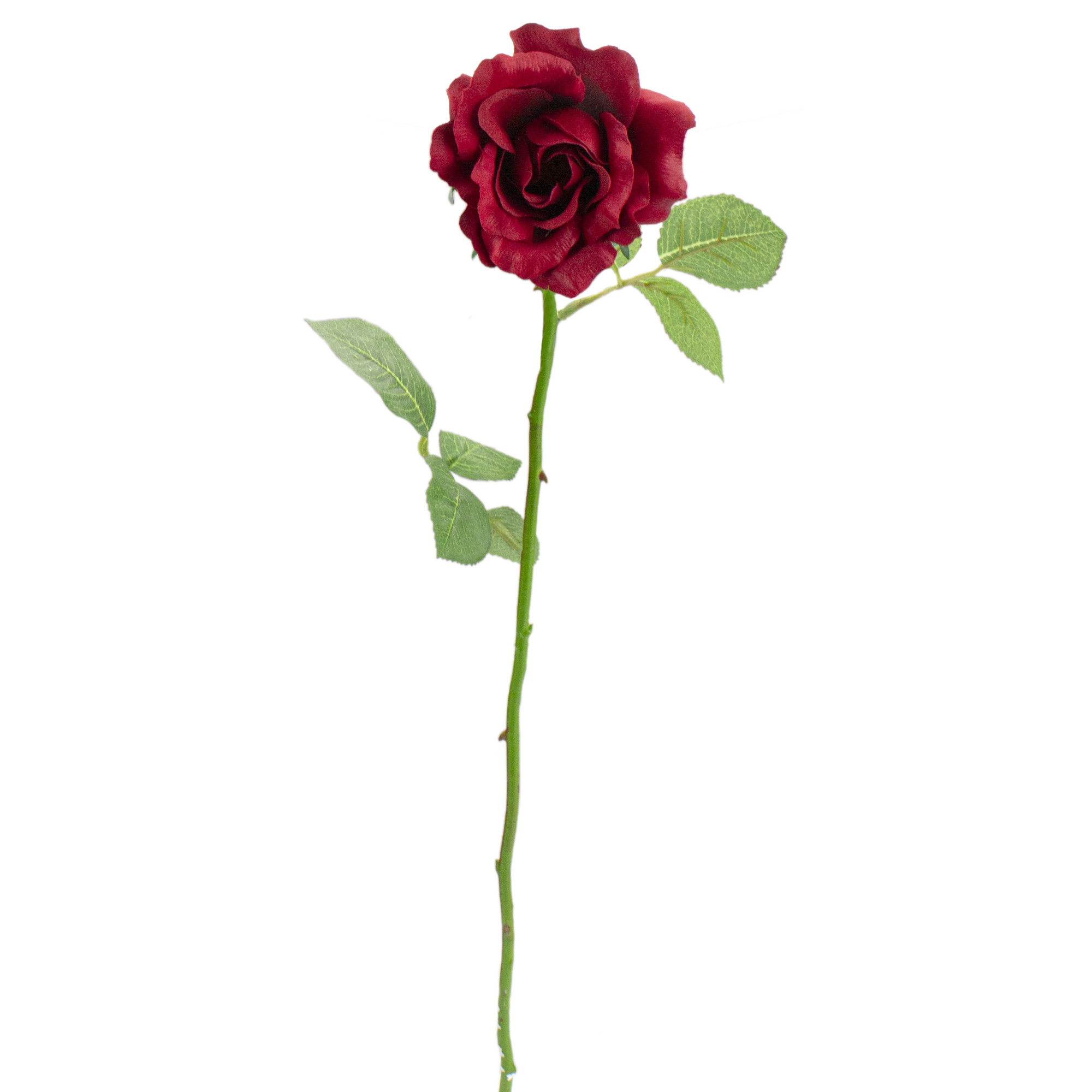 Northlight Roses Stem Wayfair