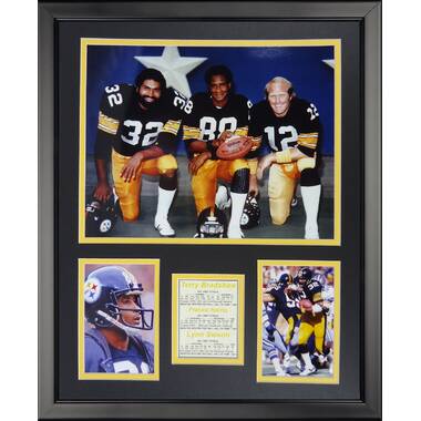 Lyle Alzado Framed Memorabilia Trinx