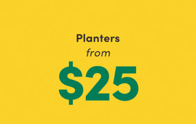 SALE! Planters From $25