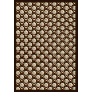 Brown/Beige Area Rug